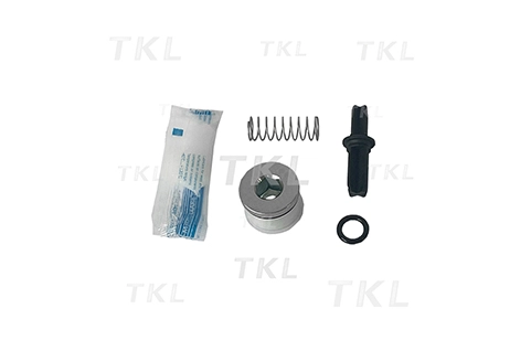 Kits de reparación secador de aire AD-9SI