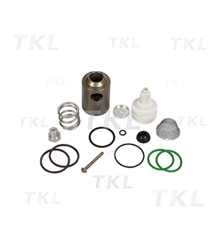 Kits de reparación Secador de aire 2000 SKF