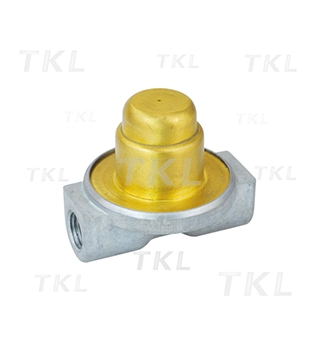 Válvula de protección de presión