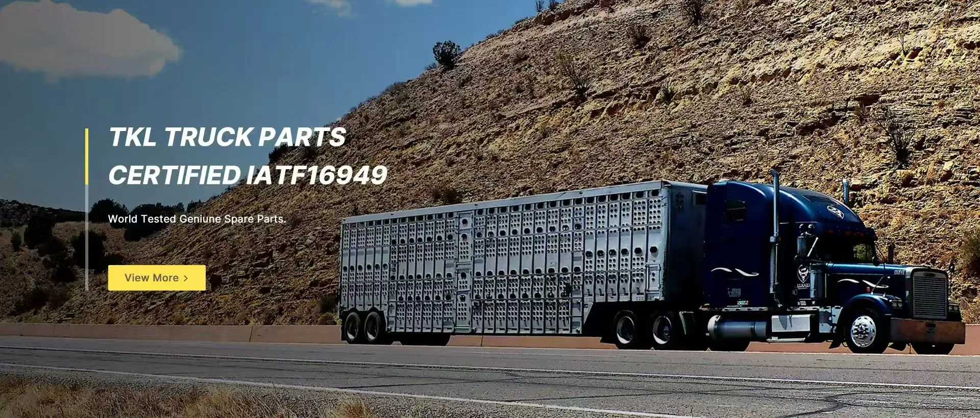 Piezas de camión TKL